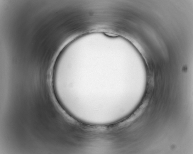 X0000103150957200809192026