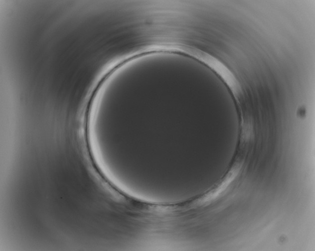 X0000103150958200809192026