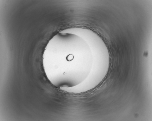 X0000103150961200809192025