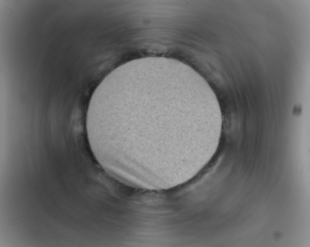 X0000103150962200809192025