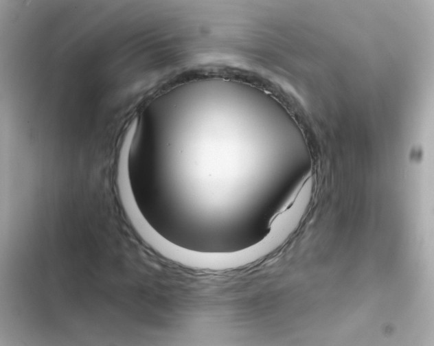 X0000103150965200809192025