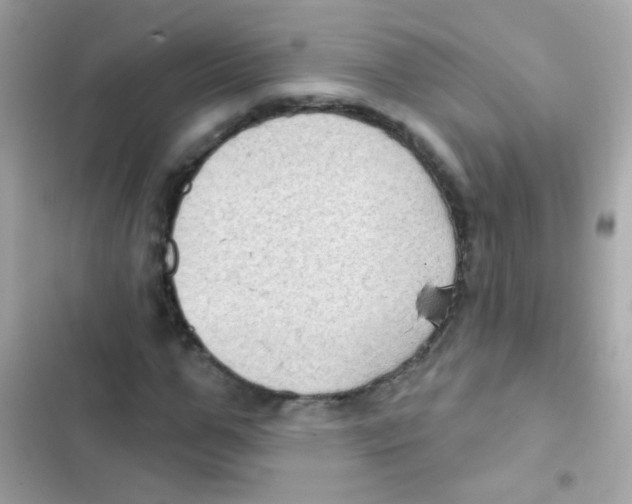 X0000103150967200809192025