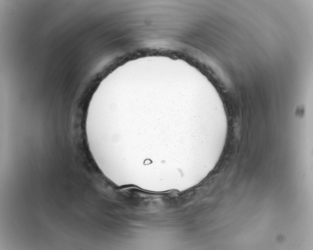 X0000103150968200809192025