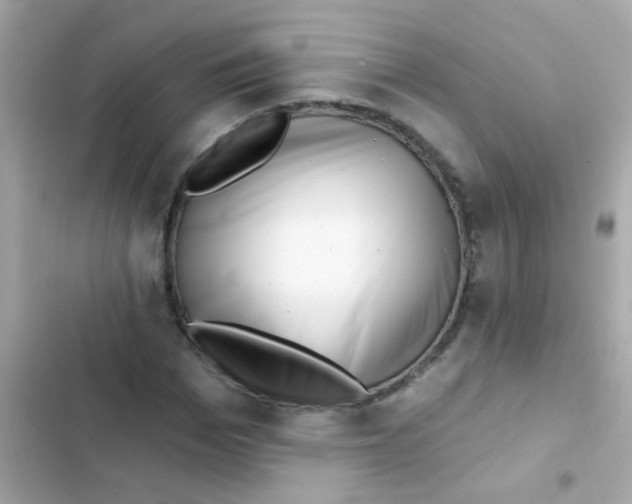 X0000103150969200809192025