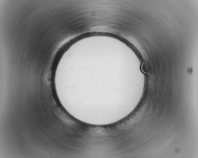 X0000103150971200809192025