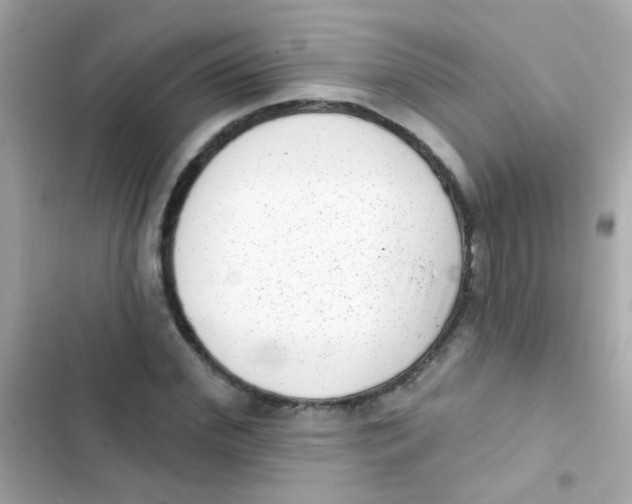 X0000103150972200809192025