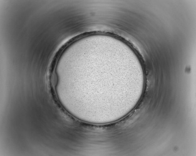 X0000103150975200809192025