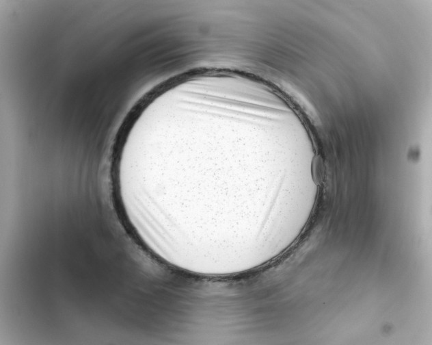 X0000103150976200809192025