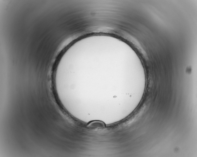 X0000103150978200809192025