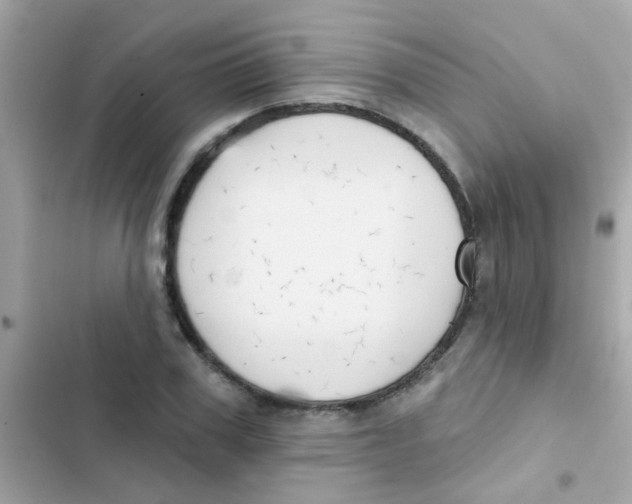 X0000103150979200809192025