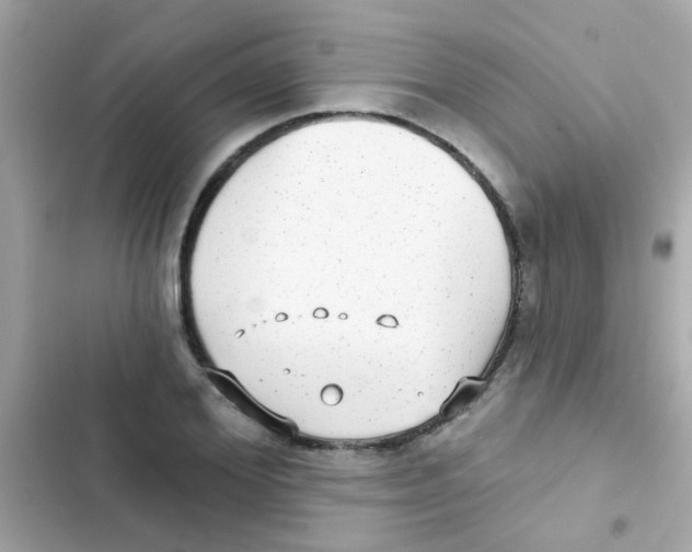 X0000103150980200809192025