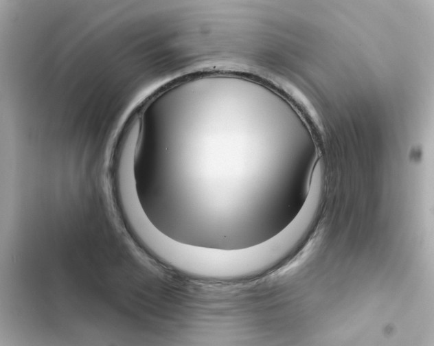 X0000103150981200809192025