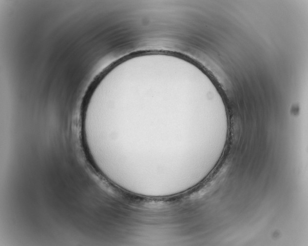 X0000103150982200809192025