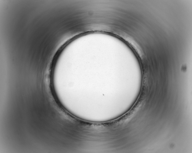 X0000103150983200809192025