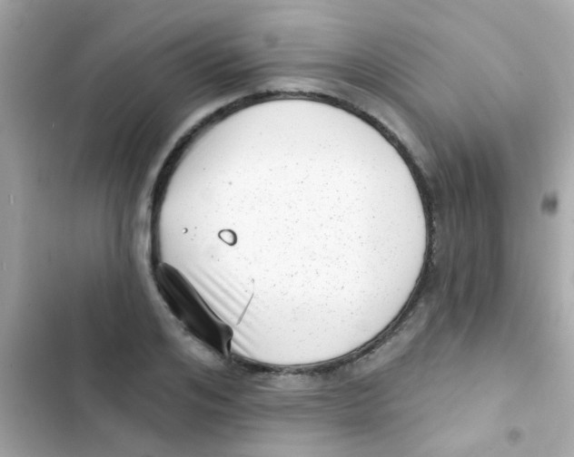 X0000103150984200809192025