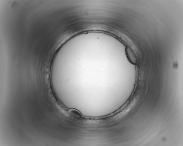 X0000103150985200809192025