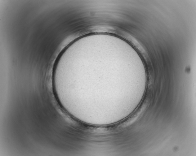 X0000103150986200809192025