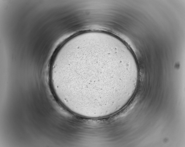 X0000103150987200809192025