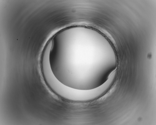 X0000103150989200809192025