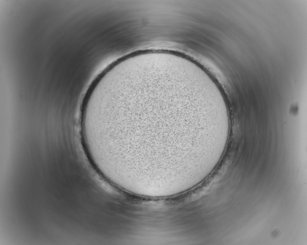 X0000103150990200809192025