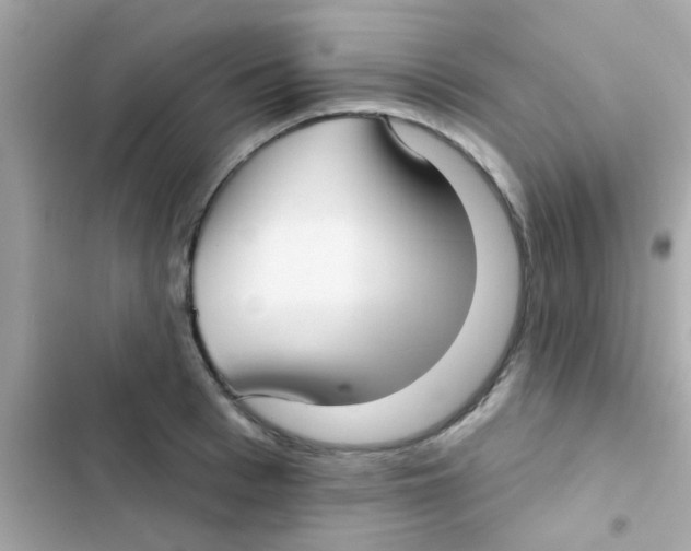 X0000103150993200809192025