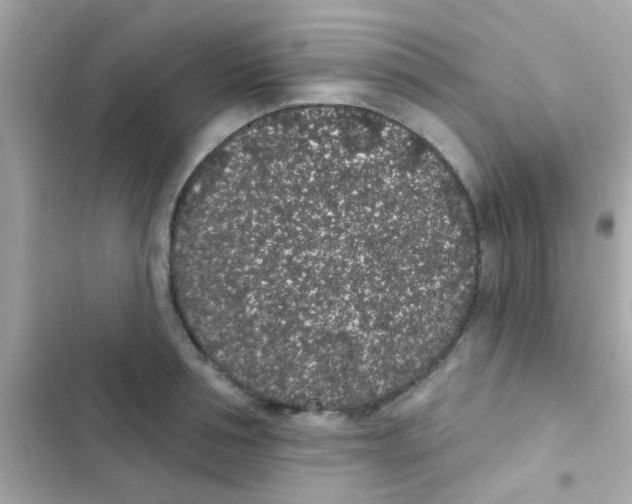 X0000103150994200809192025