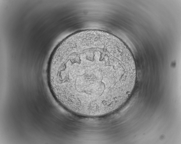 X0000103150995200809192025