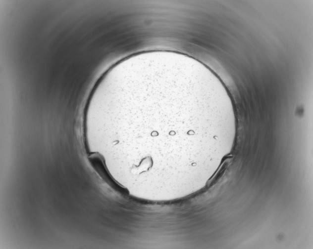 X0000103150996200809192025