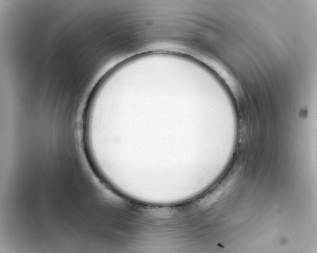 X0000103150999200809192025