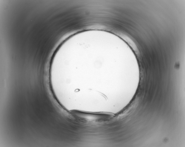 X0000103151000200809192025