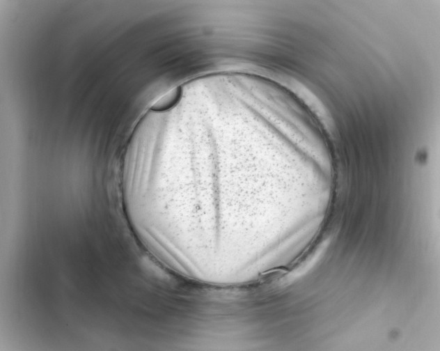 X0000103151001200809192025