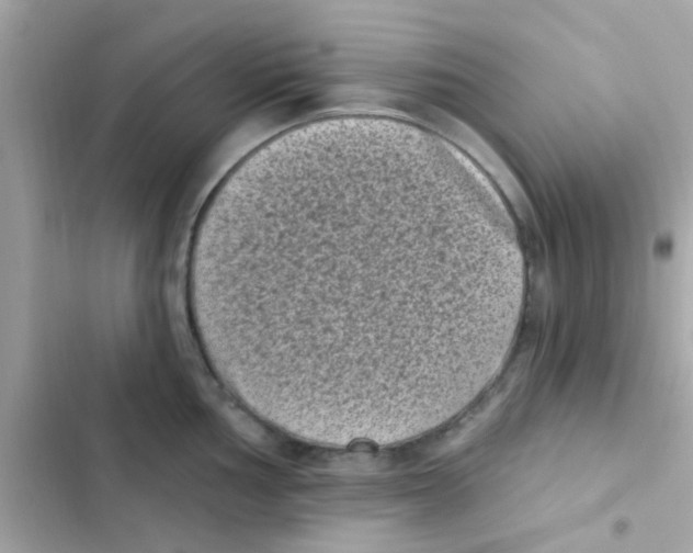 X0000103151002200809192025