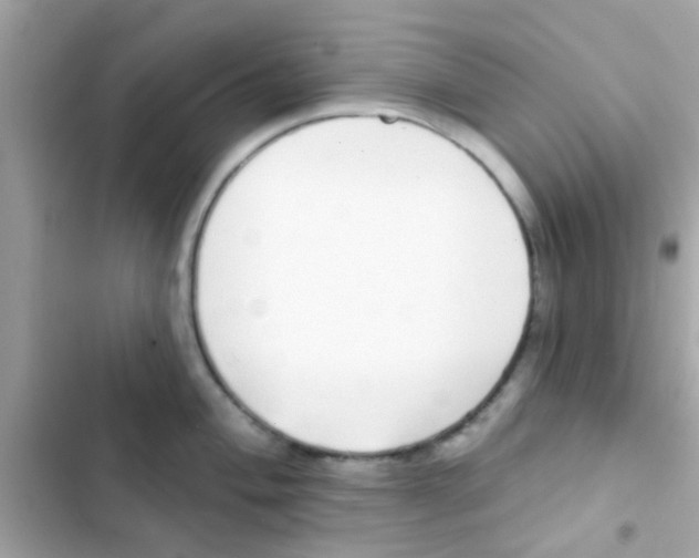 X0000103151004200809192025