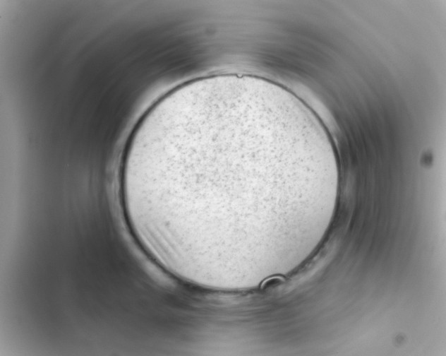 X0000103151005200809192025