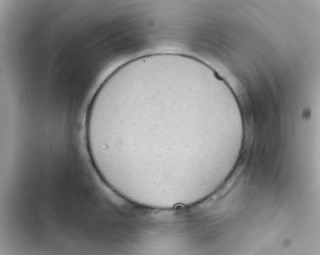 X0000103151006200809192025