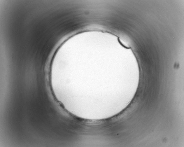 X0000103151008200809192025