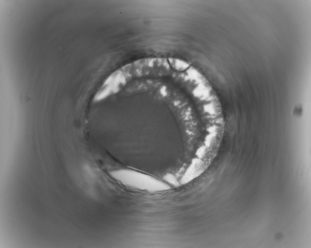 X0000103151009200809192024