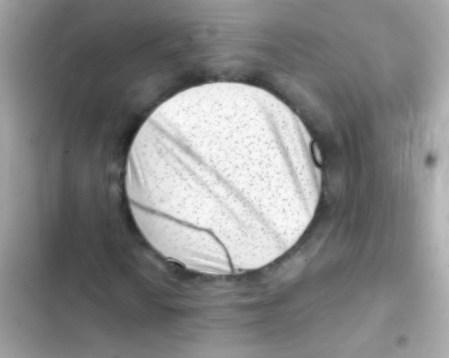 X0000103151010200809192024