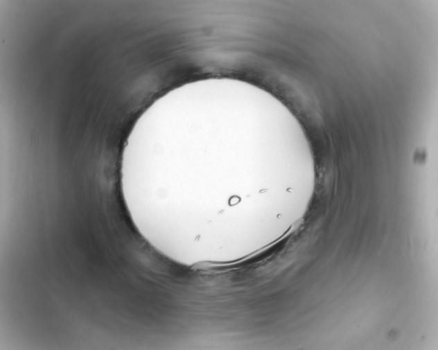 X0000103151012200809192024