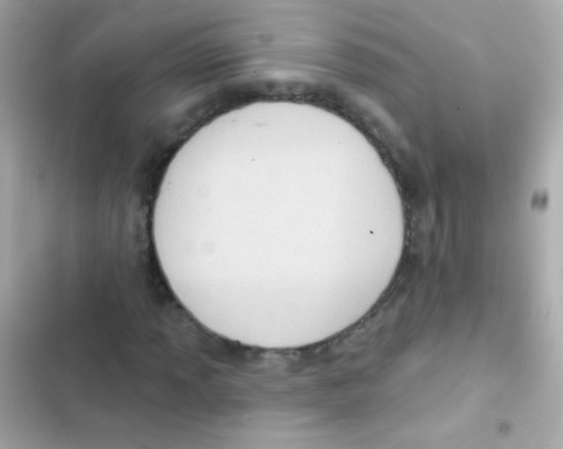 X0000103151013200809192024