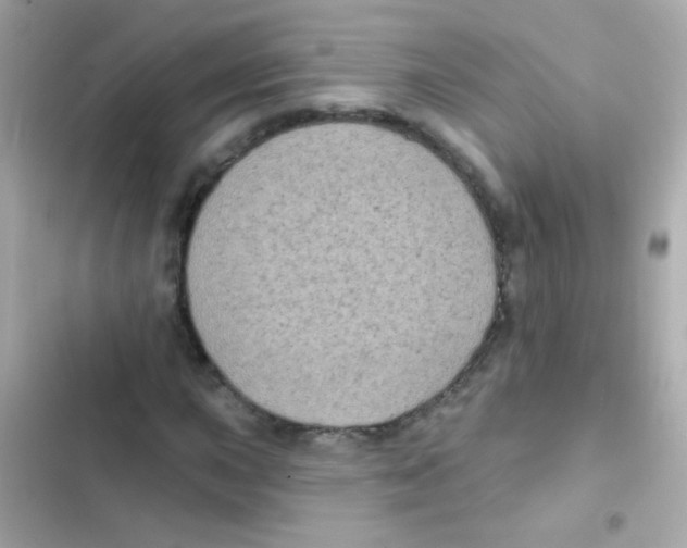 X0000103151015200809192024