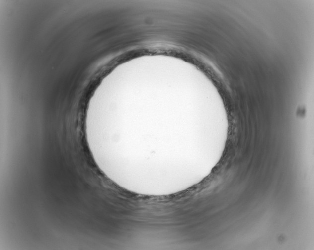 X0000103151016200809192024