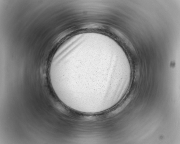 X0000103151017200809192024