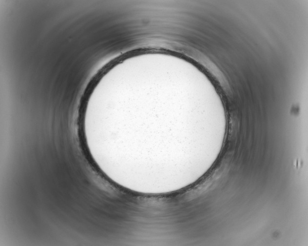 X0000103151020200809192024