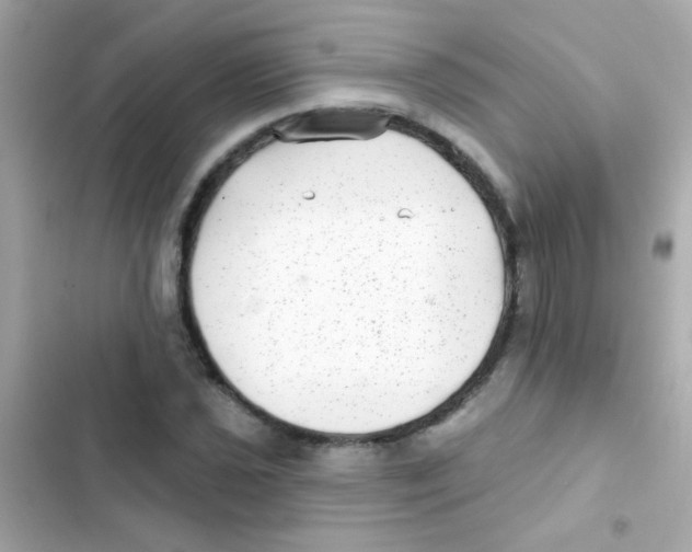 X0000103151021200809192024