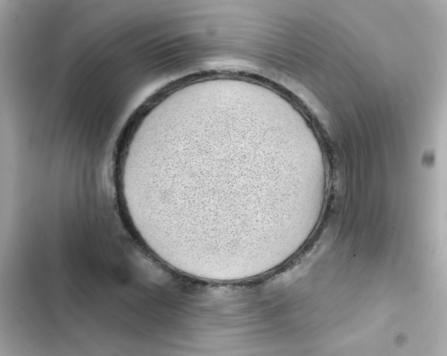 X0000103151022200809192024