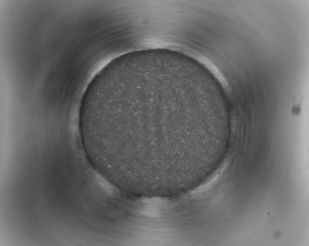 X0000103151023200809192024