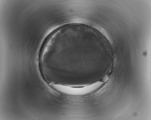 X0000103151024200809192024