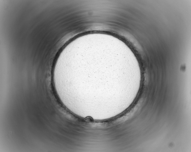 X0000103151025200809192024