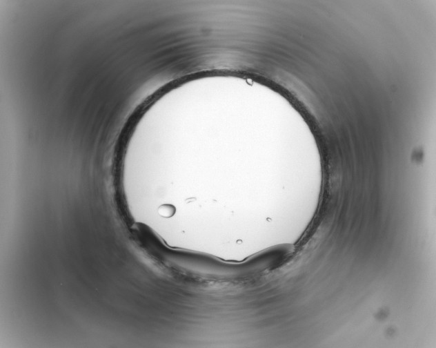 X0000103151026200809192024